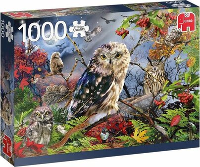 18859 Jumbo Puzzel Uilen in het maanlicht 1000 stukjes