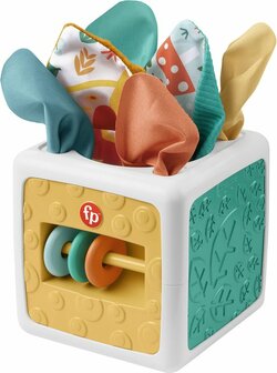 30795 Fisher-Price Paradise 2 in 1 baby Speel activiteiten kubus Tissue box