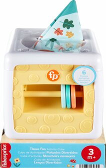 30795 Fisher-Price Paradise 2 in 1 baby Speel activiteiten kubus Tissue box