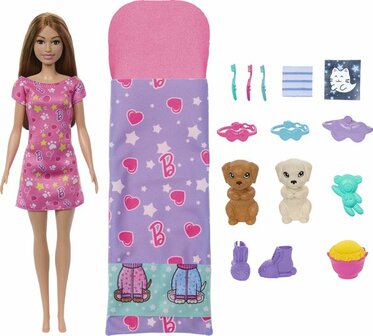 34592 Barbie Slaapfeestje met Puppy&#039;s