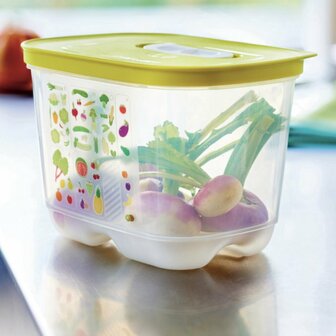 79258 Tupperware Ventismart 1.8 liter  