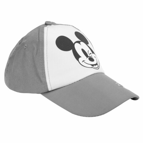 93586 Disney Mickey Mouse Pet Grijs