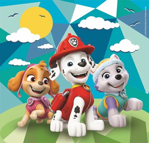 252916 Clementoni Puzzel Paw Patrol 3x48 stukjes