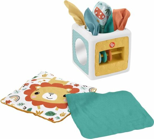 30795 Fisher-Price Paradise 2 in 1 baby Speel activiteiten kubus Tissue box