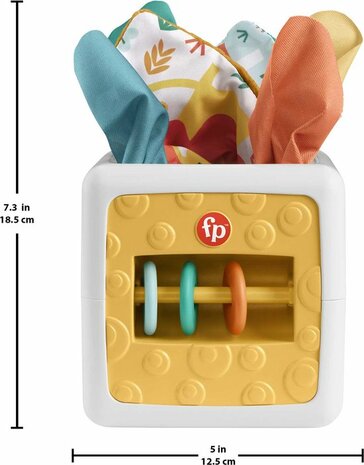 30795 Fisher-Price Paradise 2 in 1 baby Speel activiteiten kubus Tissue box