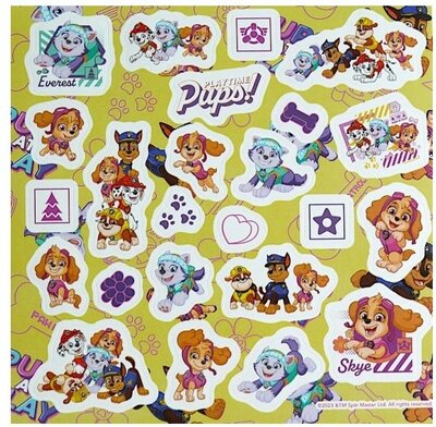 74166 Paw Patrol Skye Stickerboekje 10x10